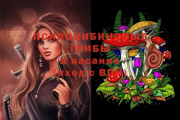 винт Богородицк