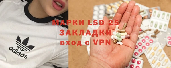 PSILOCYBIN Богородск