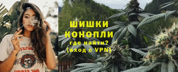 PSILOCYBIN Богородск