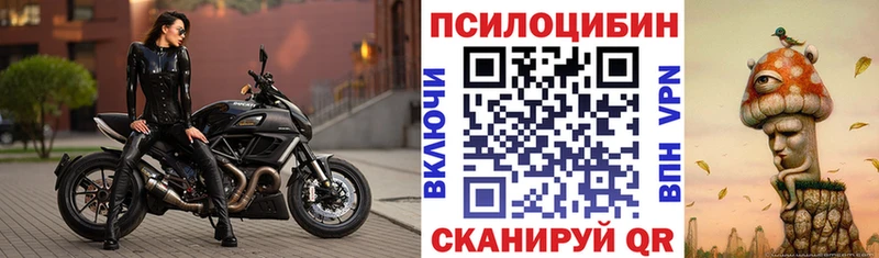 Псилоцибиновые грибы Cubensis  Тосно 